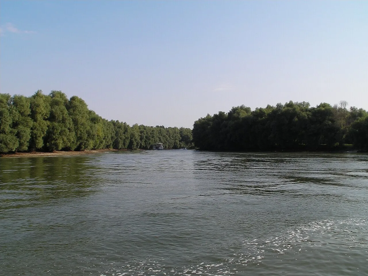 Canal si vegetatie pe maluri in Delta Dunarii.